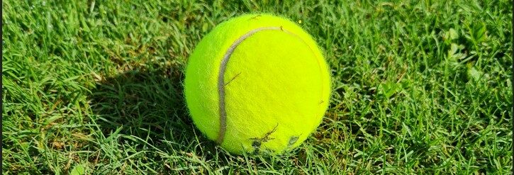 Tennisball